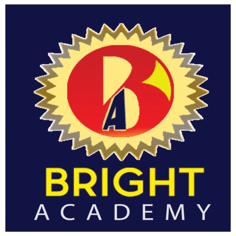 Bright Academy By Lila Roy