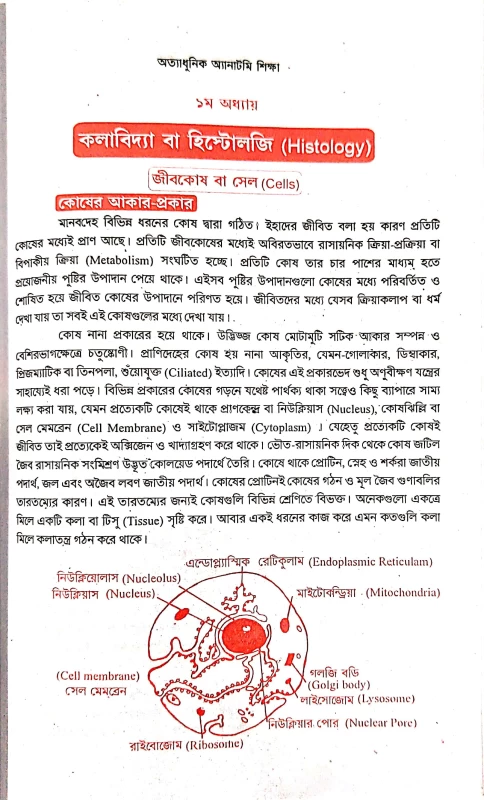 অত্যাধুনিক অ্যানাটমি শিক্ষা ডা. এ. কে. চাকলাদার এ. বি. পাবলিকেশন